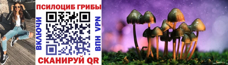 Купить закладки  Данков  Псилоцибиновые грибы прущие грибы 
